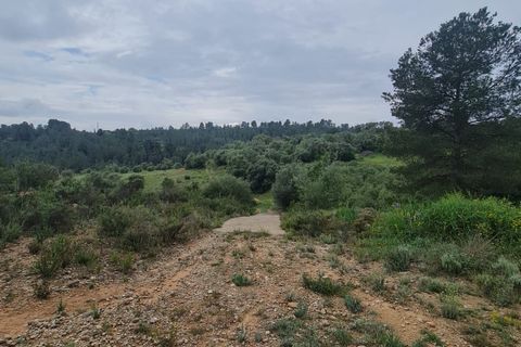 Ruïna a Mora D'ebre, Tarragona, Mora D'ebre - € 38.000 | Ref: 958 Lumoru - foto 7